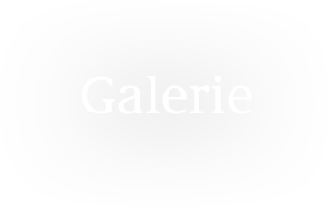 Galerie